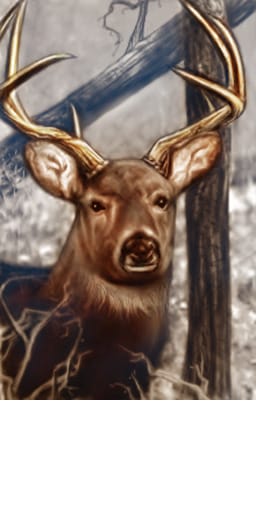 po_deer_