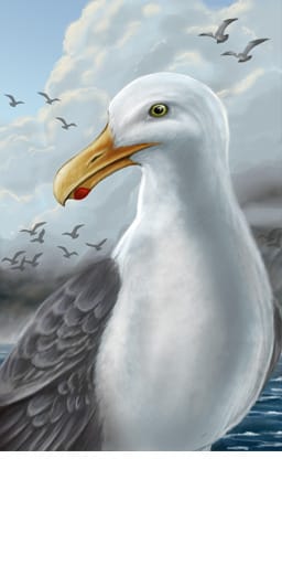 po_seagull_